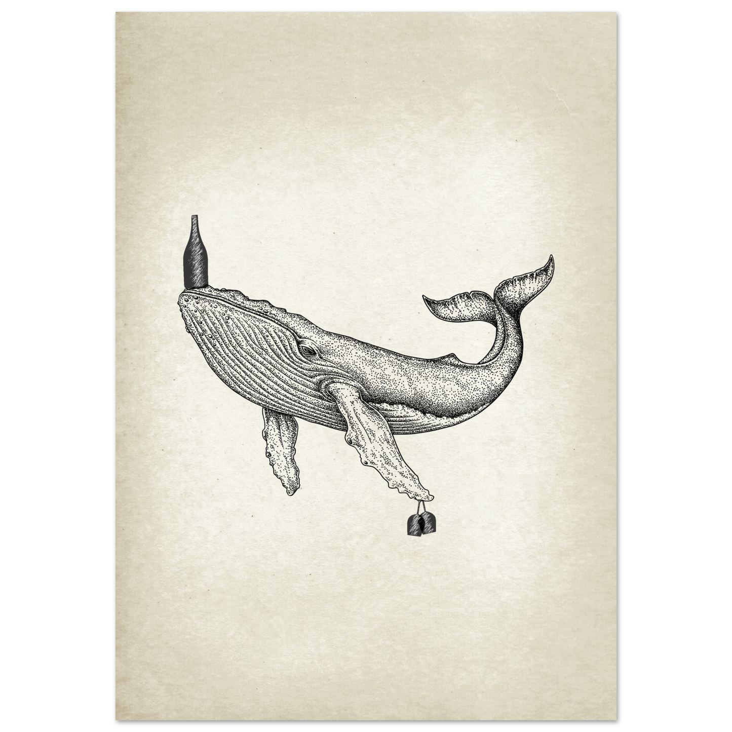 Post Card A5 for local pickup in Palma Whale fish