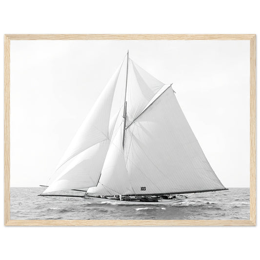 Marine Wall Art Prints for Stylish Rooms