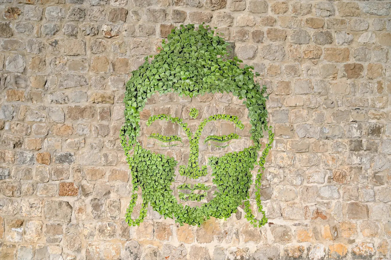 Buddha in Ivy on Stone Wall, Wallpaper Sticker - Image #2