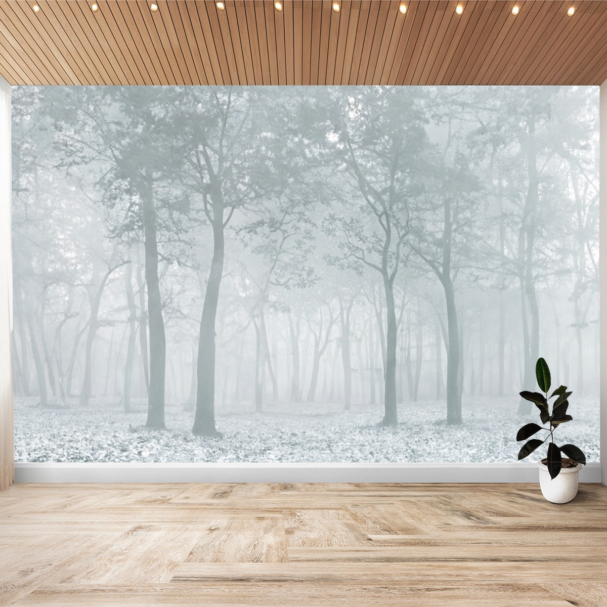 Forest Wallpaper Sticker