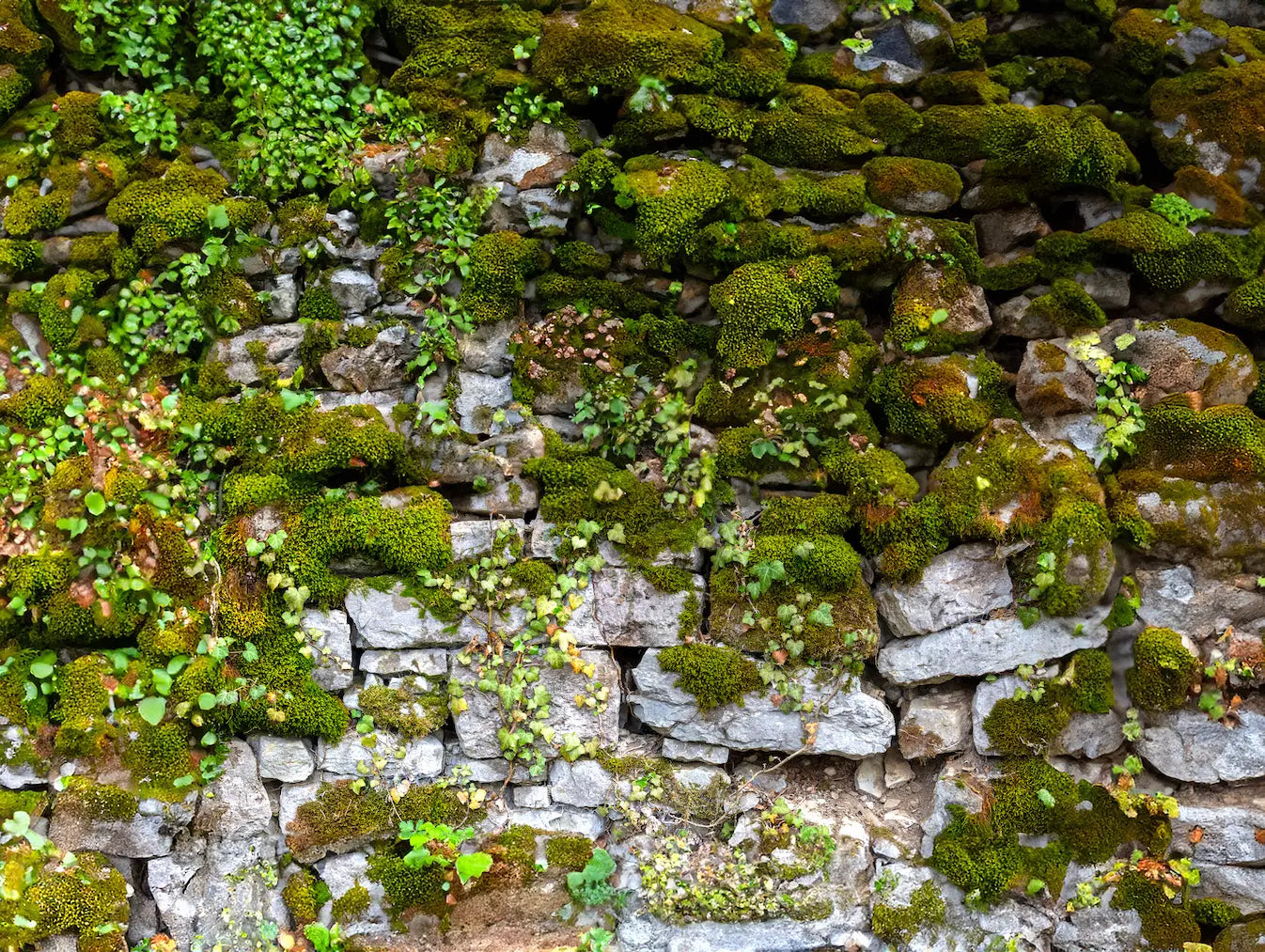 Moss and Natural Stone Wallpaper Sticker - Image #3