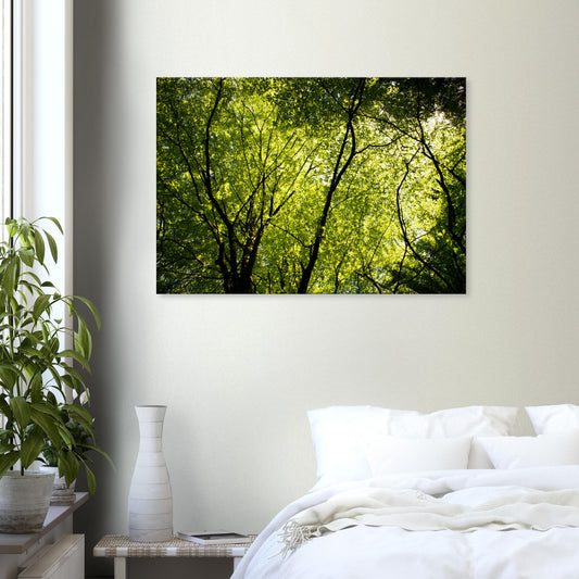 Canvas Print of photo of Beech forest in Sweden 70X100cm - Posterify