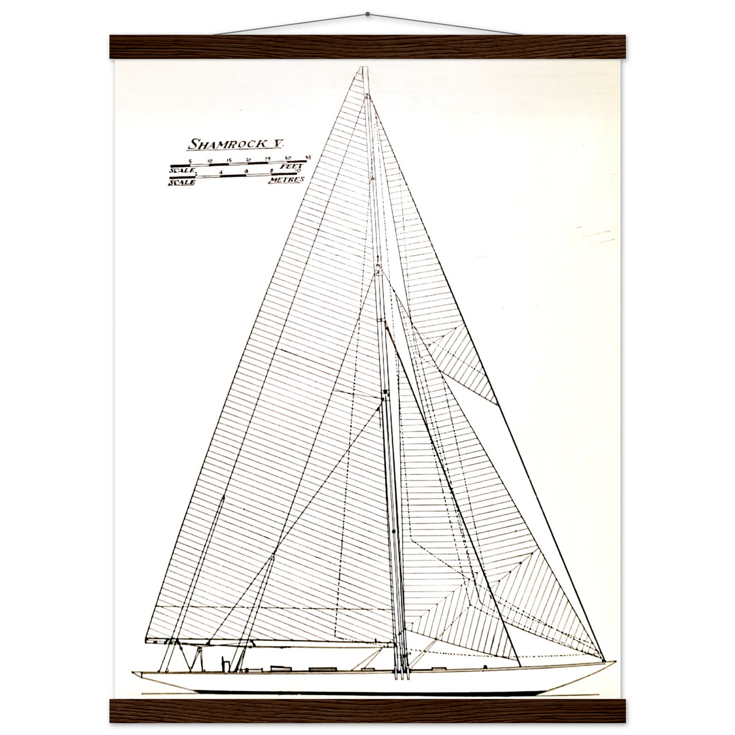 44a3ffe2-db62-4125-b484-464228912494