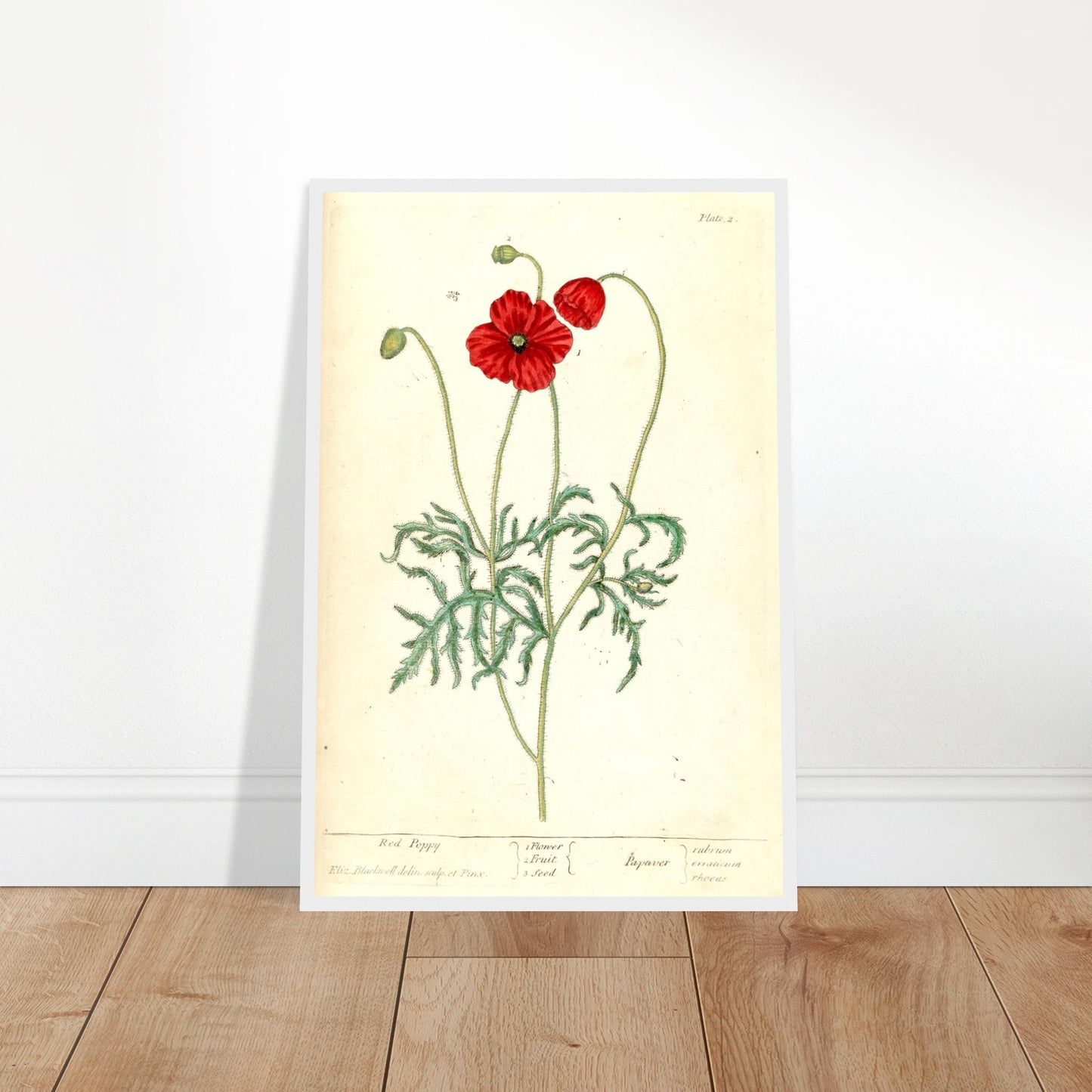 4f08df69-2c9c-477e-aeb2-996b924949d1