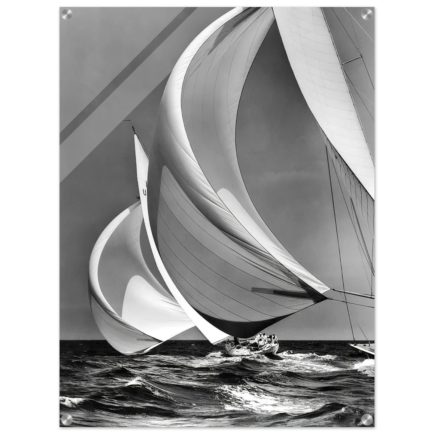 6a5a4473-78f0-40d6-969f-8e6f18311977