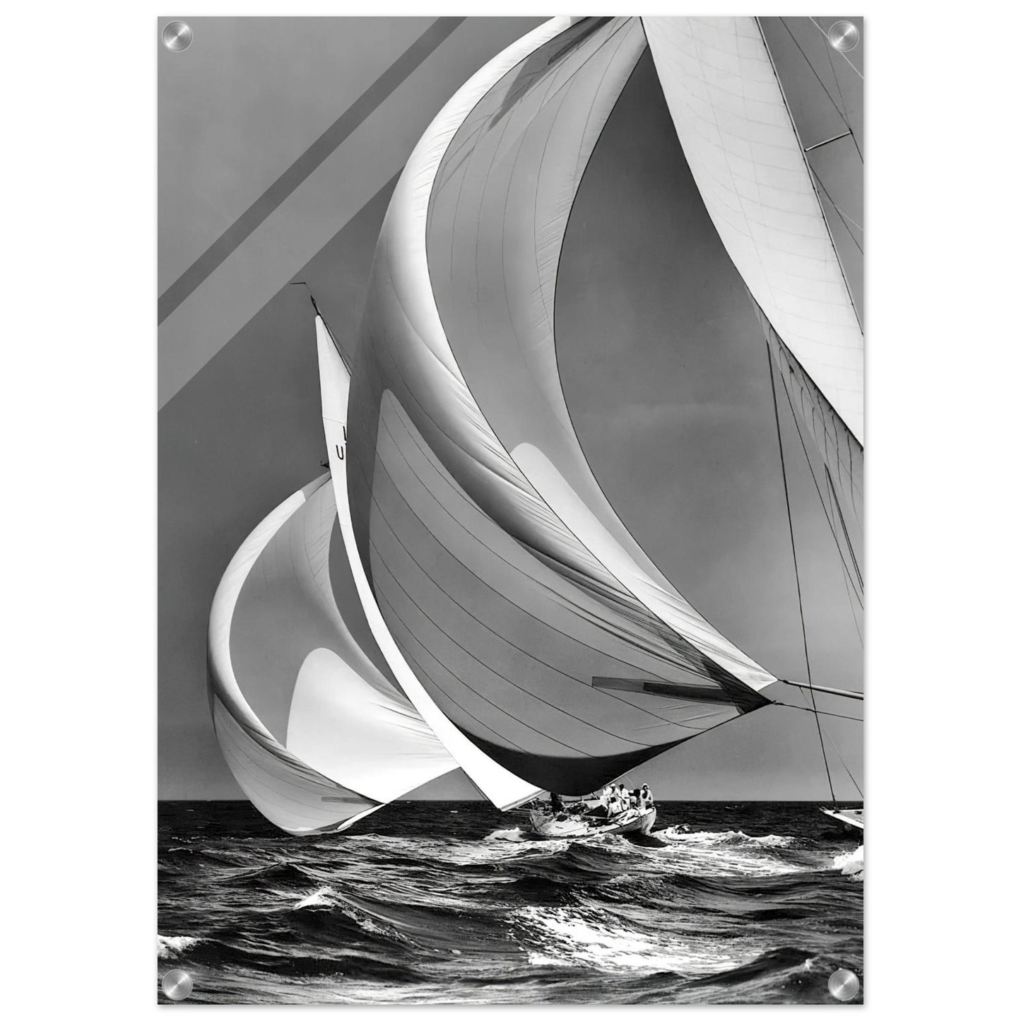 90500767-78e1-44f2-8c11-08dde7199eeb