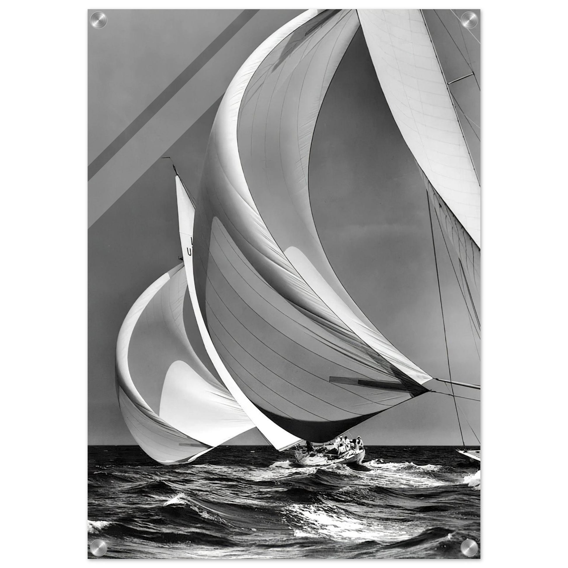 90500767-78e1-44f2-8c11-08dde7199eeb