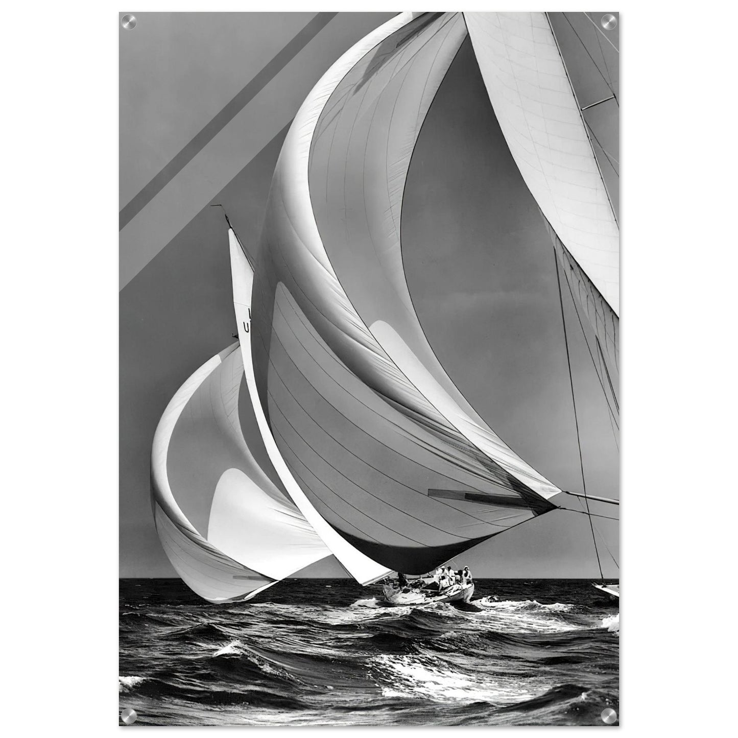 9b017530-d43e-4cd8-8bc2-483539de83f6