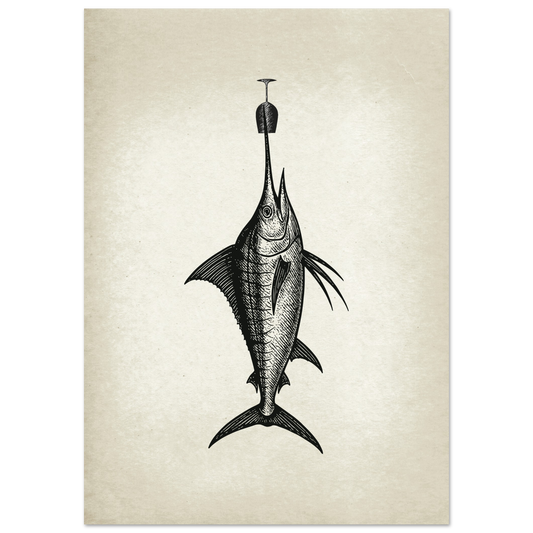Post Card A5 for local pickup in Palma Sword Fish