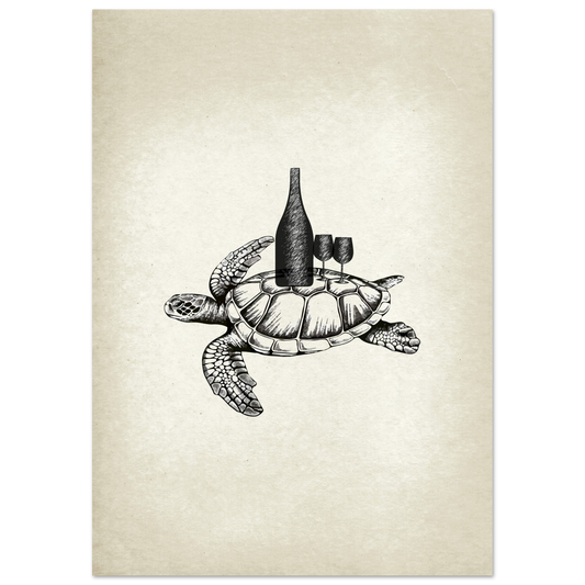 Post Card A5 for local pickup in Palma Turtle