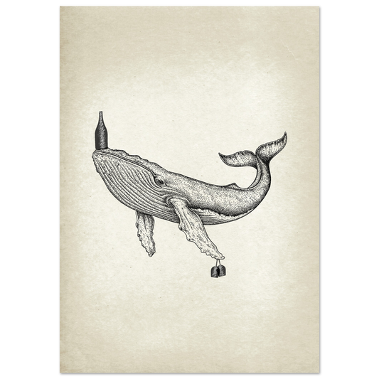 Post Card A5 for local pickup in Palma Whale fish