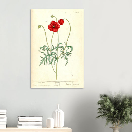 a3016eb7-a47d-4054-9cbc-afd41007ccb8