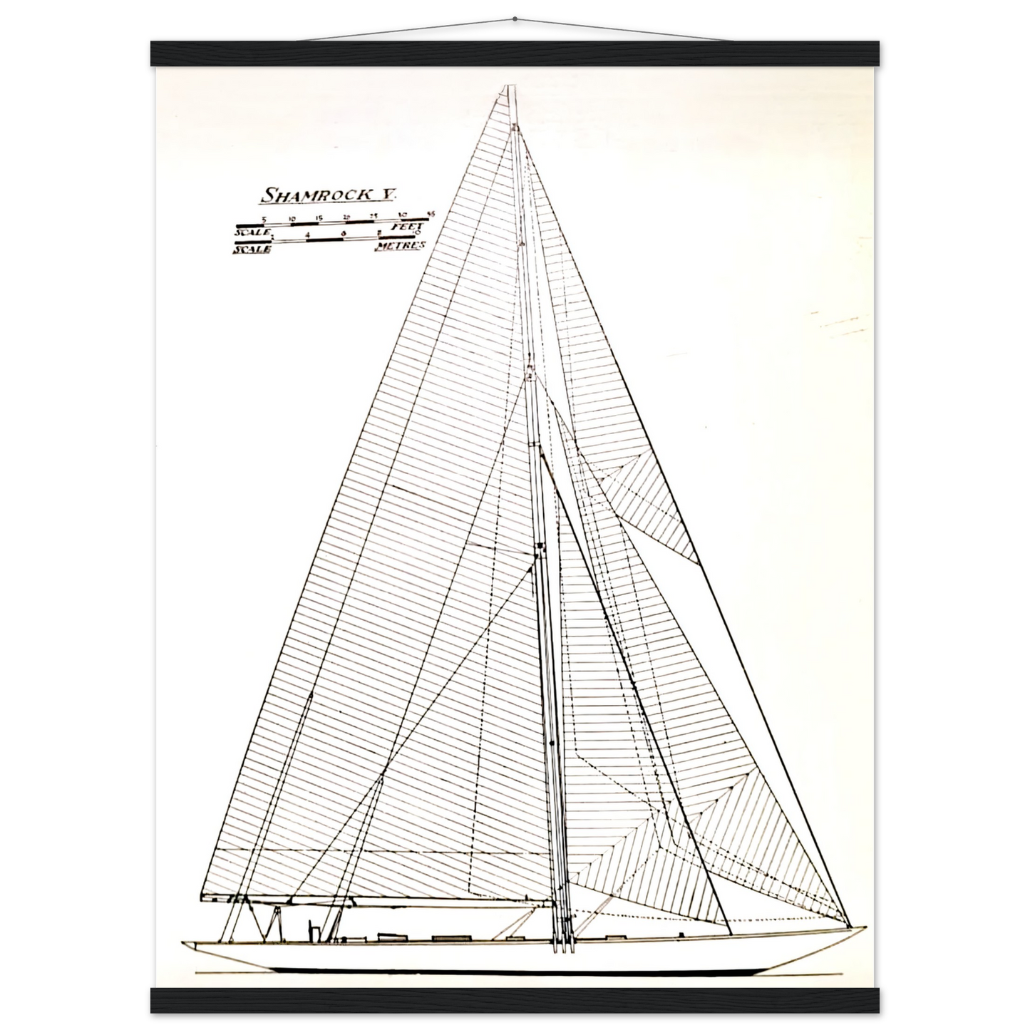 bb2f905f-9736-4315-870b-6196ac65a097