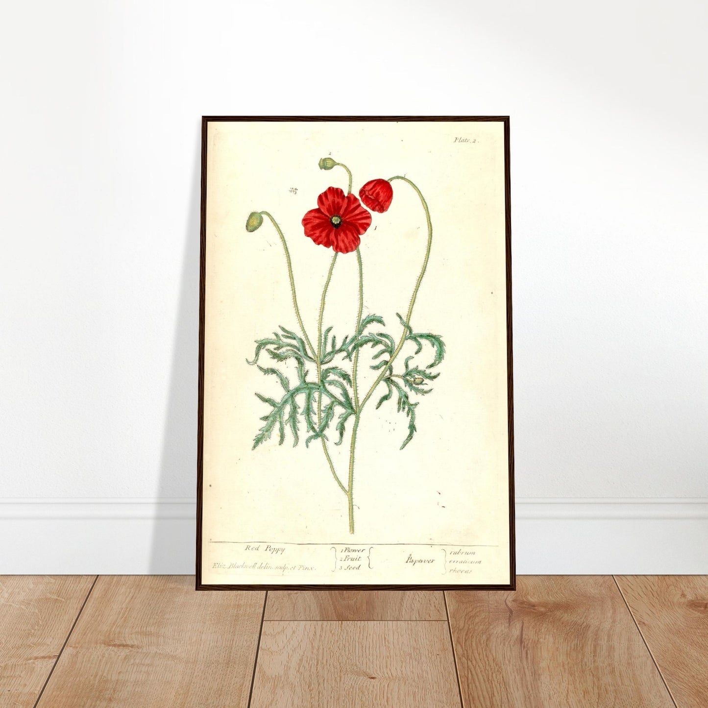 c9c2fd69-fa0a-45b1-acd7-1d02c3aa1ae7