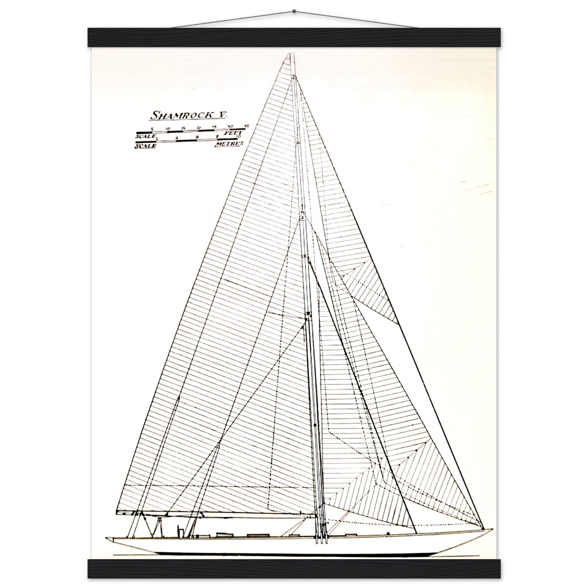 cadd889c-fc9f-4448-bca8-d2b485282cf9